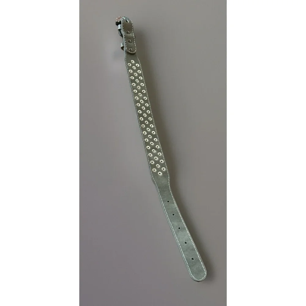 Studded Collar For‎ Large Dogs 21